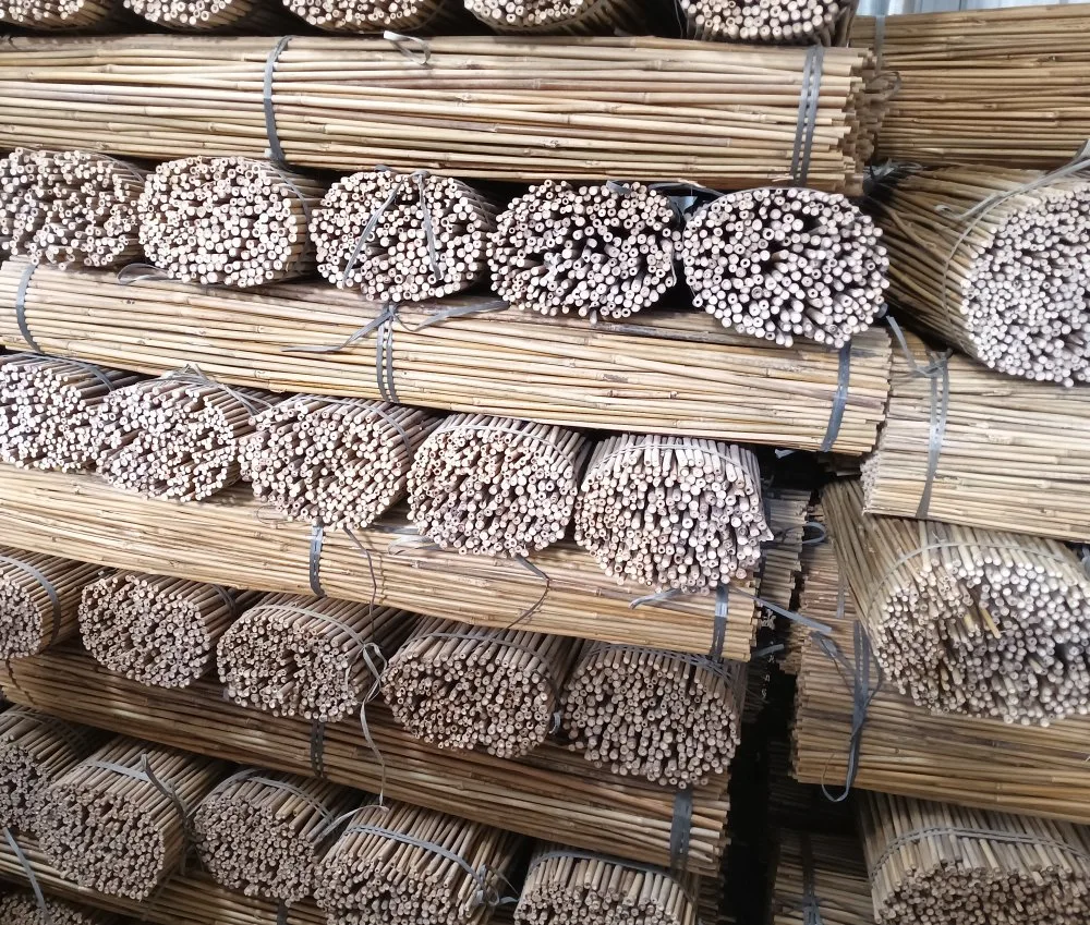 Polo de bambú chino de las materias primas de bambú y té