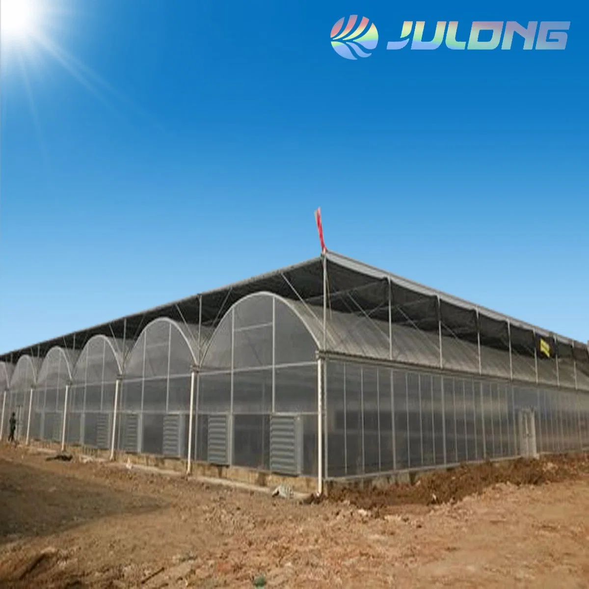 High quality/High cost performance  Agricultural Multi-Span Plastic Film with Hydroponics System for Tomato