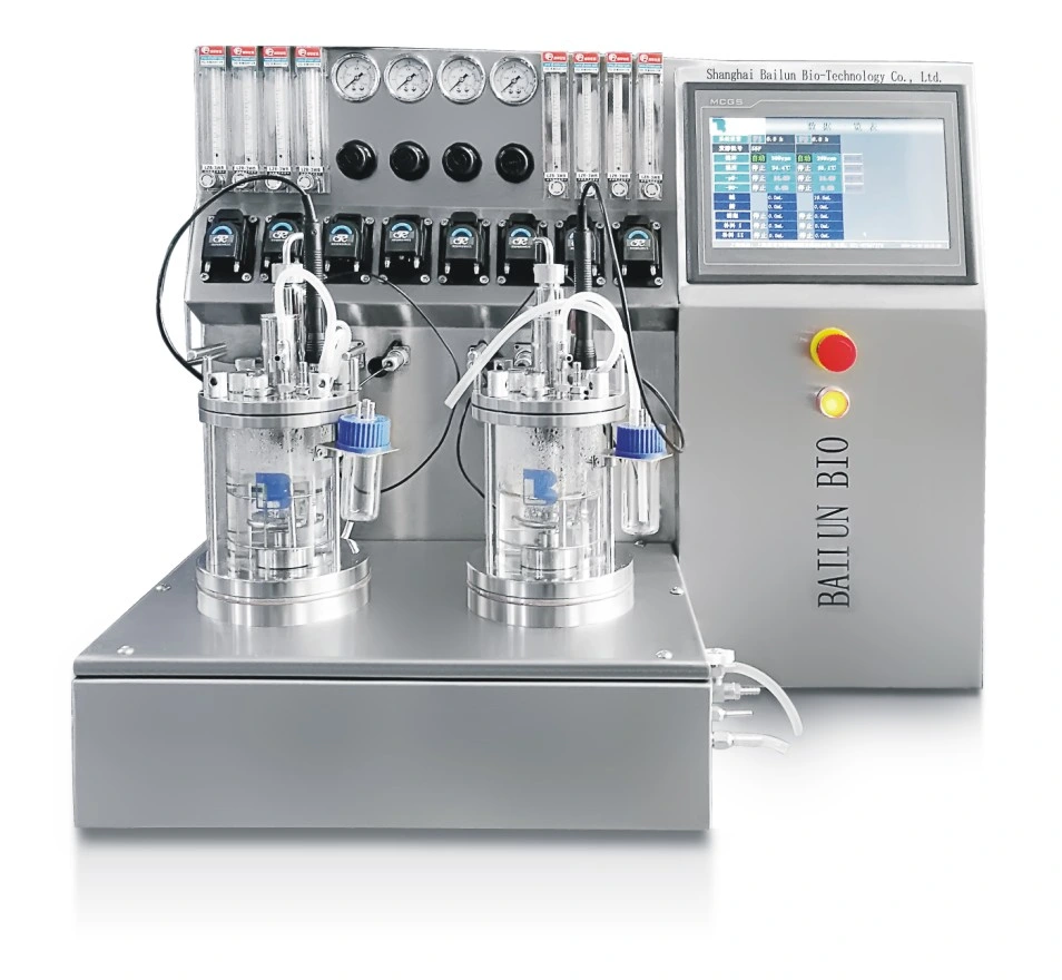 Muti-Connected Diagram of Industrial Glass Packed Bed Bioreactors Fermenter