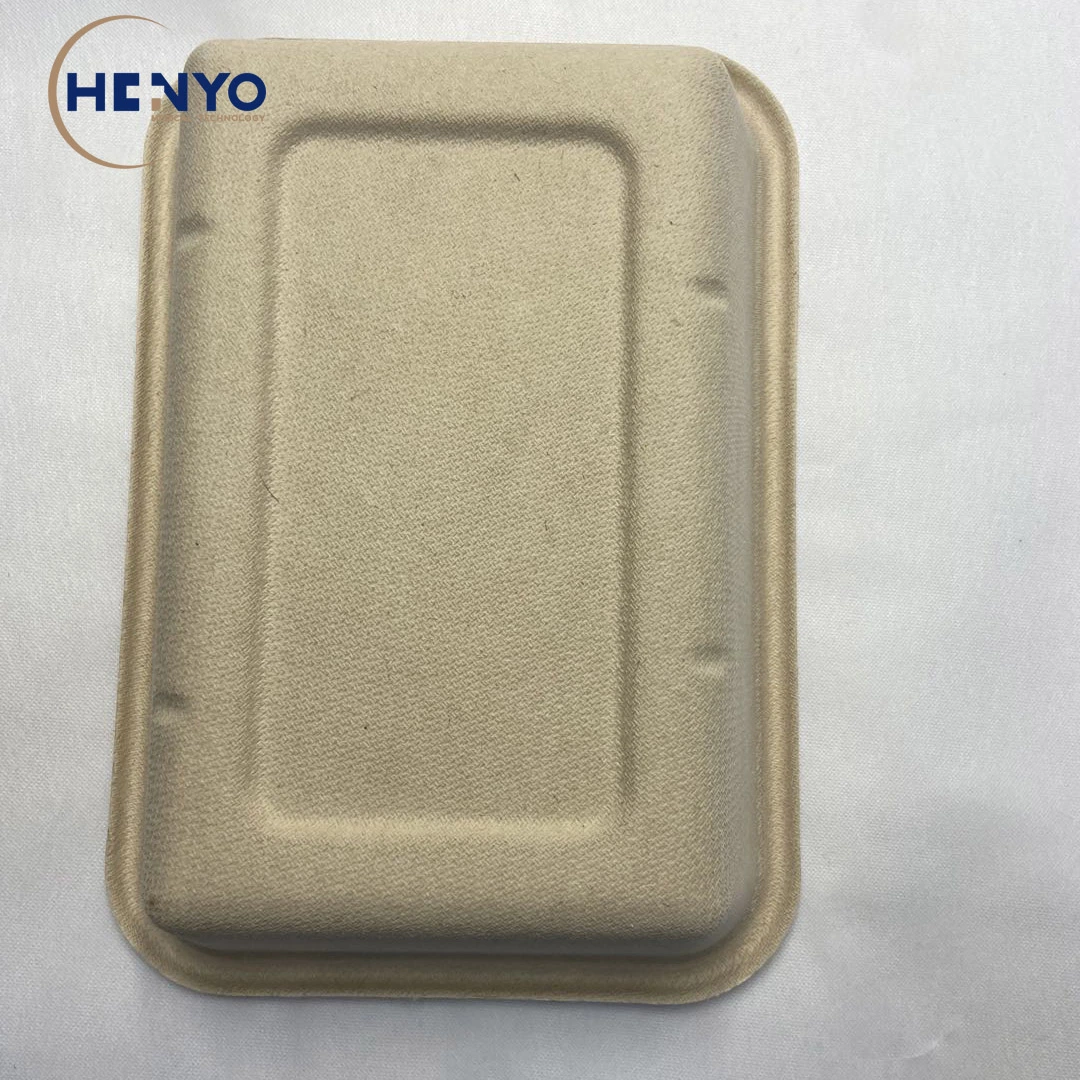 Disposable Biodegradable Bagasse Tableware 800ml Square Lunch Box Meal Box with Pet Lid