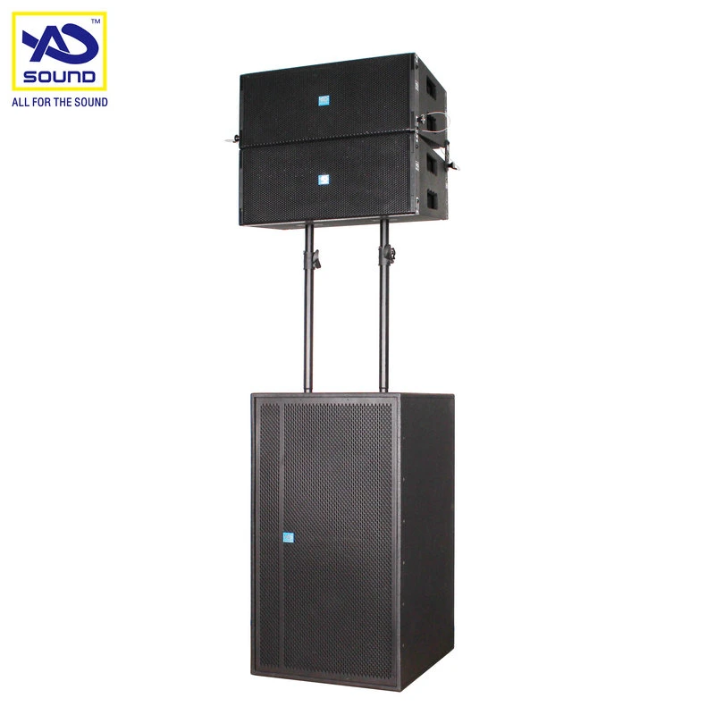 Line Array, PRO Audio, Tw D10L Line Arrey