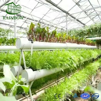 High quality/High cost performance  Economical Hydroponics System for Greenhouse