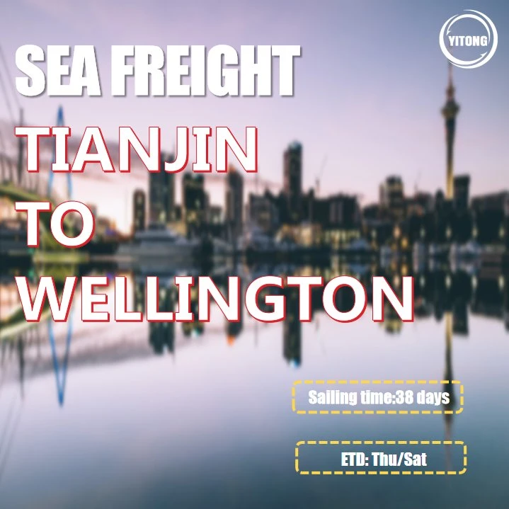 Fret maritime de Shanghai à Wellington Nouvelle-Zélande