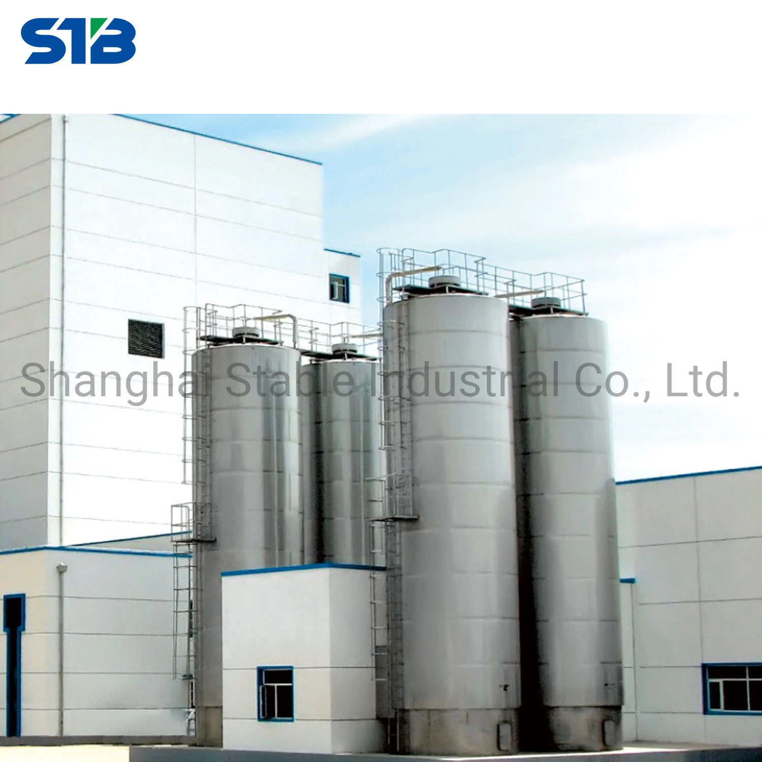 High quality/High cost performance  SS304/316L Silos for Dairy Processing Line