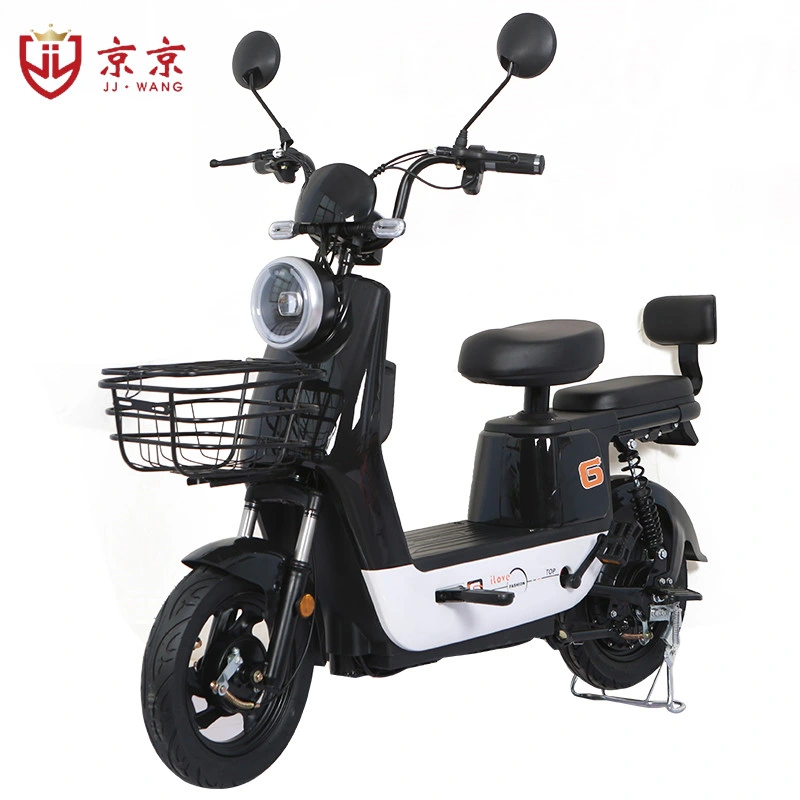 Electric Quad E Motorcycle Electric Scooter Dirt Ebike 350W Electric Bike Fiets