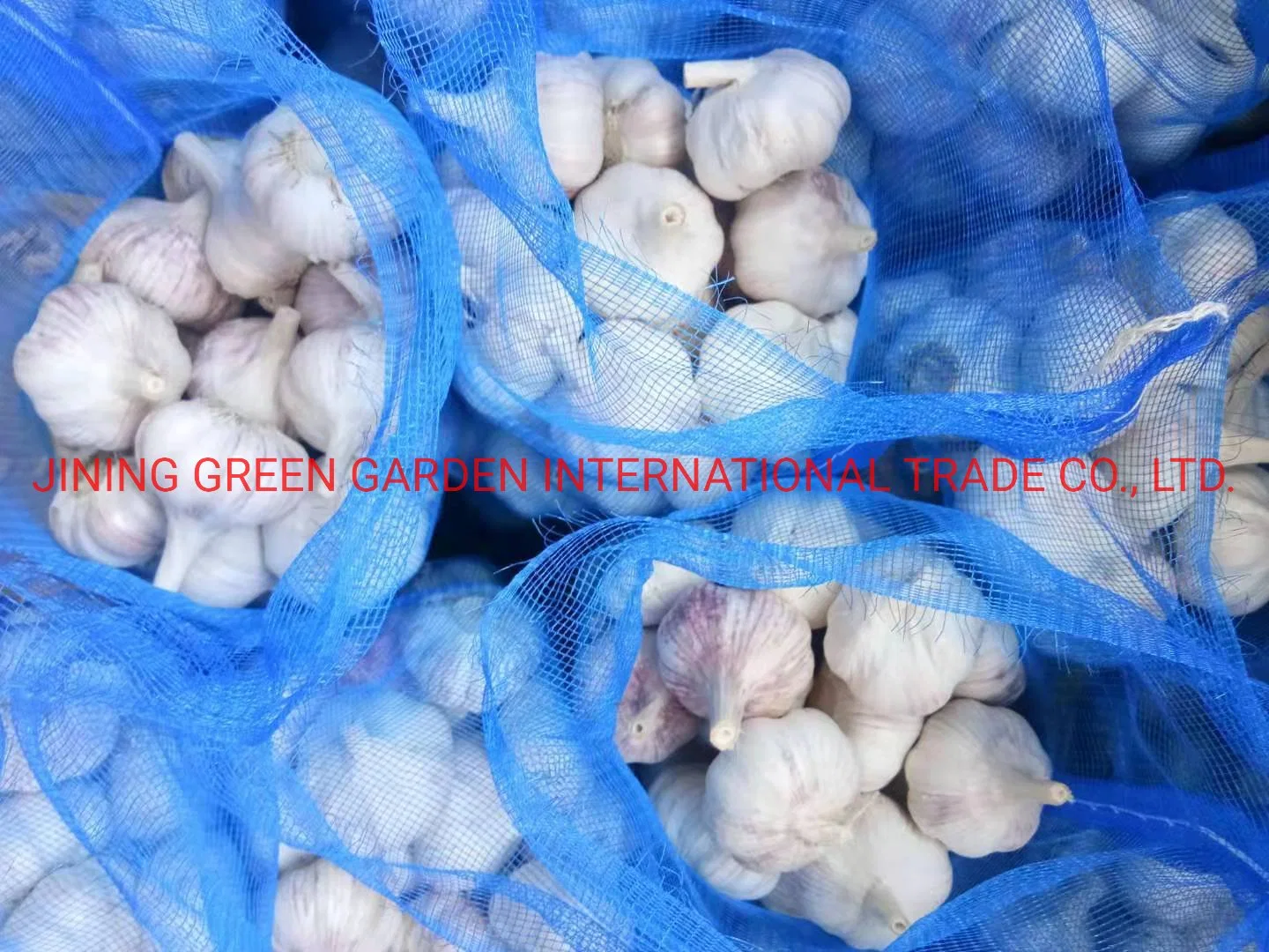 No.1 Top Quality Good Quality High quality/High cost performance  Cheap Price China Fresh White Garlic Normal White Snow White Pure White Vary Packing,4.5,5.0,5.5,6.0,6.5 and up Size,