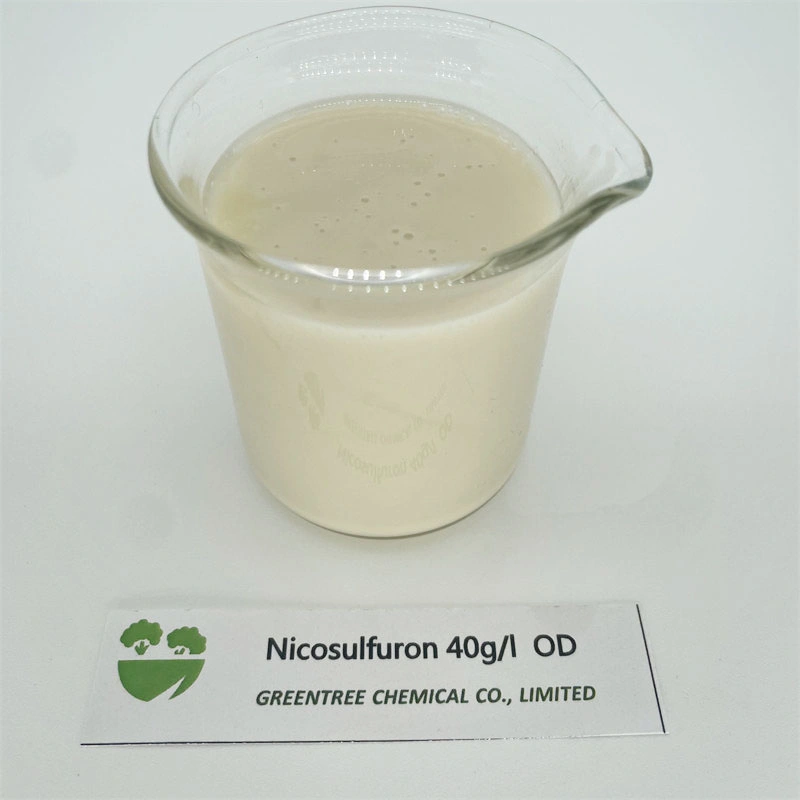 CAS 111991-09-4 agroquímicos herbicida nicosulfuron 40 G/L OD