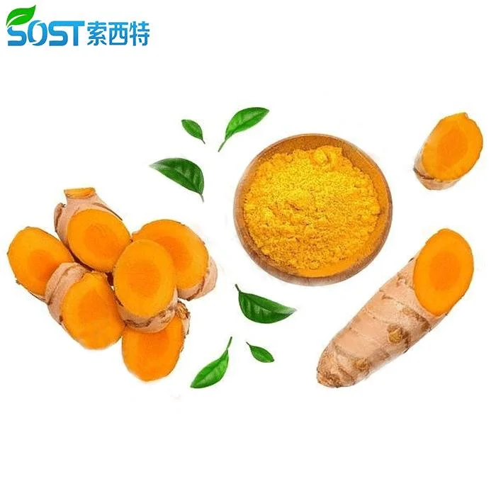 SOST China Manufacturer Turmeric Root Extract 95% Curcumin Powder