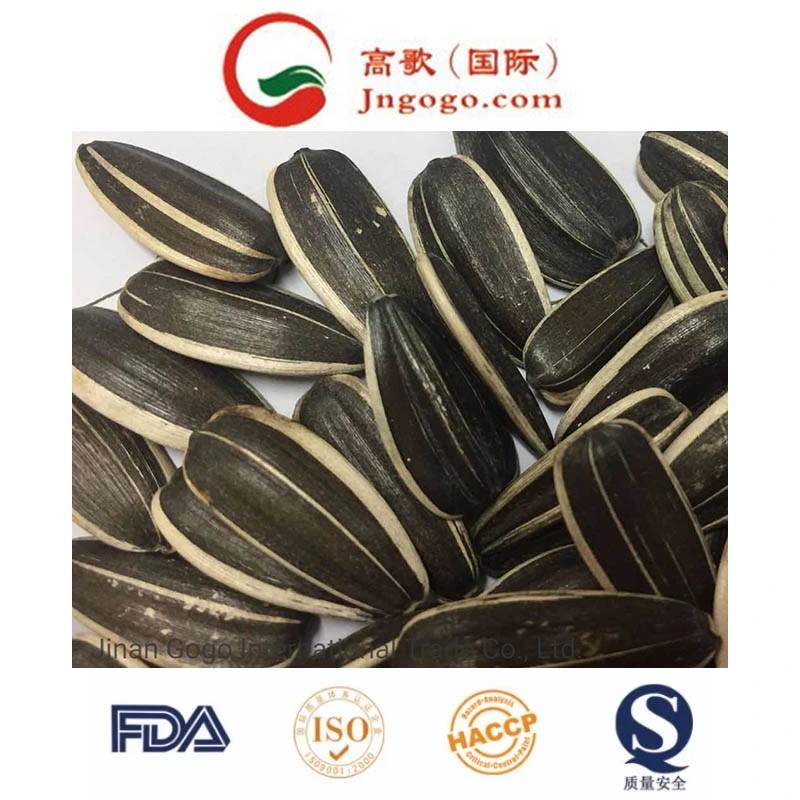 Export Good Quality Chinese Sunflower Seeds Manufacture