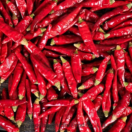 Hot Selling Dry Chilli/Chaotian Chilli in China