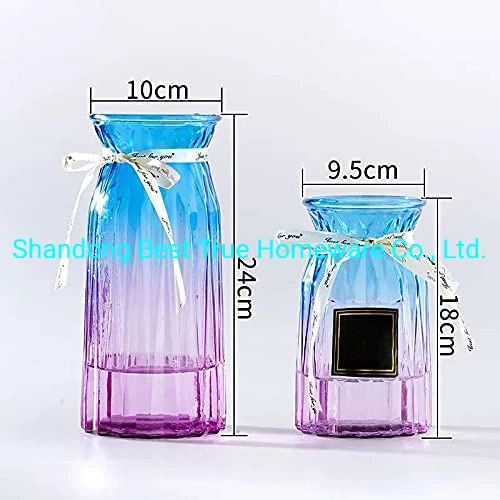 Flower Glass Vases Transparent Vases for Home Decoration and Table Decorations and Gifts