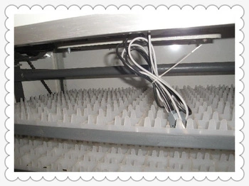 Holding 5000 Eggs Automatic Chicken Eggs Incubator for Poultry Equipment Ew-25