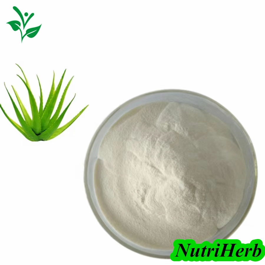 Manufacturer Supply 100% Aloe Vera Extract Aloe Emodin