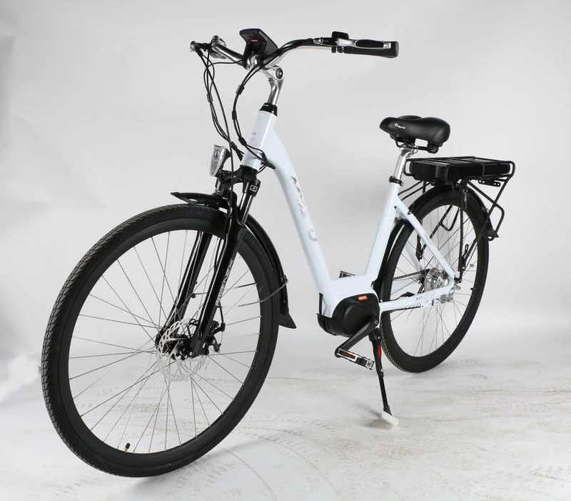 High Specification Wholesale/Supplier Lectric Bike Conversion Kit 1000W 2000W Motor MID Drive E-Bike