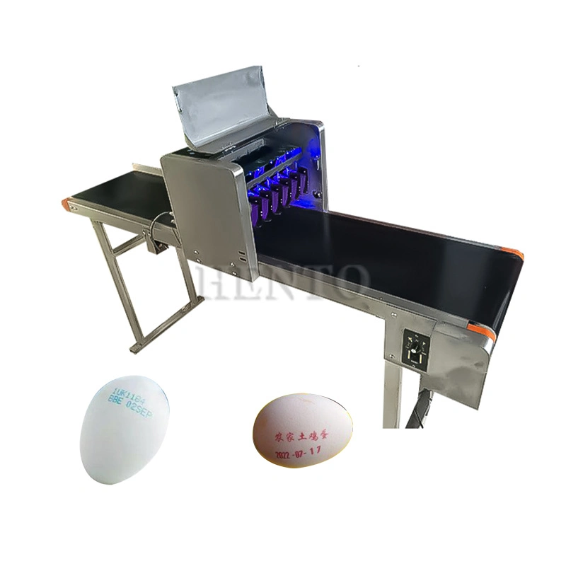 Electric Egg Date Printer / Automatic Egg Code Printing Machine