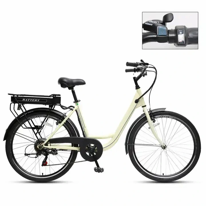 Customized 250W Wholesale Electric Bicycle 26 Inch Mountain E Bike with CE