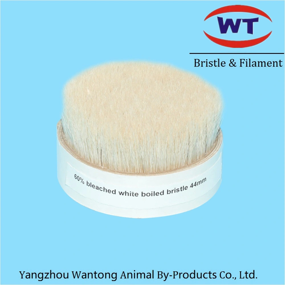 Chungking Bleached Boiled Washed Pure Bristle for Food Brush