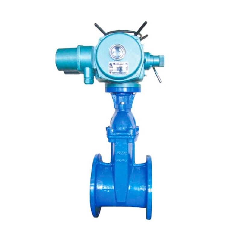 Cast Steel BS5163 Rising Stem BS En1092 En558-1 Electrical Actuatoe Gate Valve