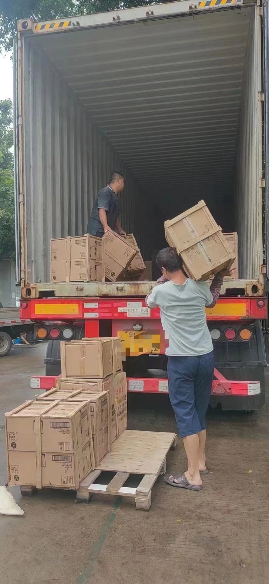 خدمة شحن الشحن البحري من شركة Shenzhen Freight Forwarder من الصين إلى جزر المالديف
