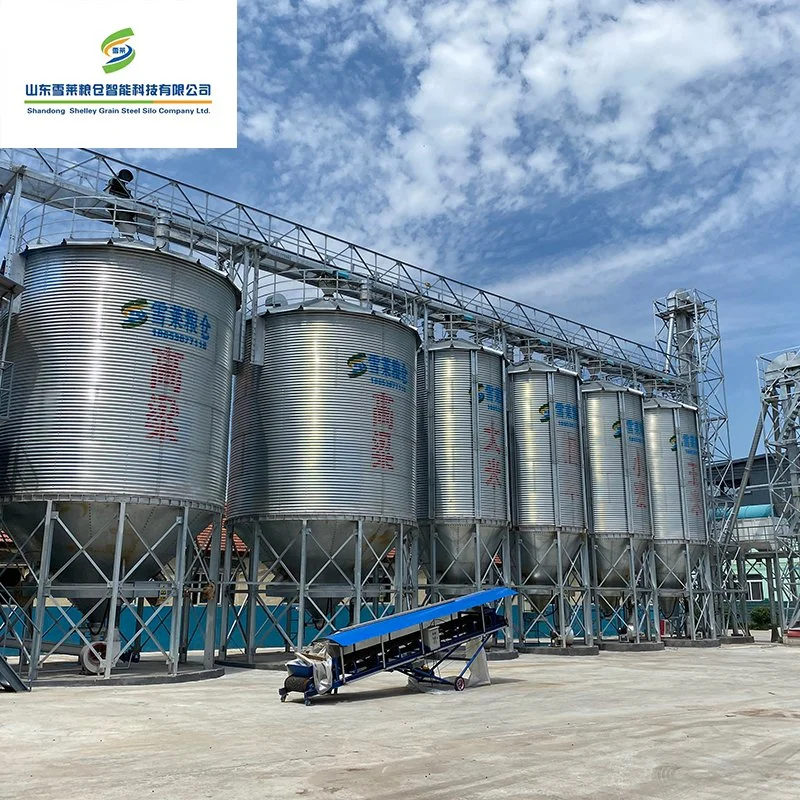 Hot Sale Good Silo Price Hopper Silo Steel Grain Silo