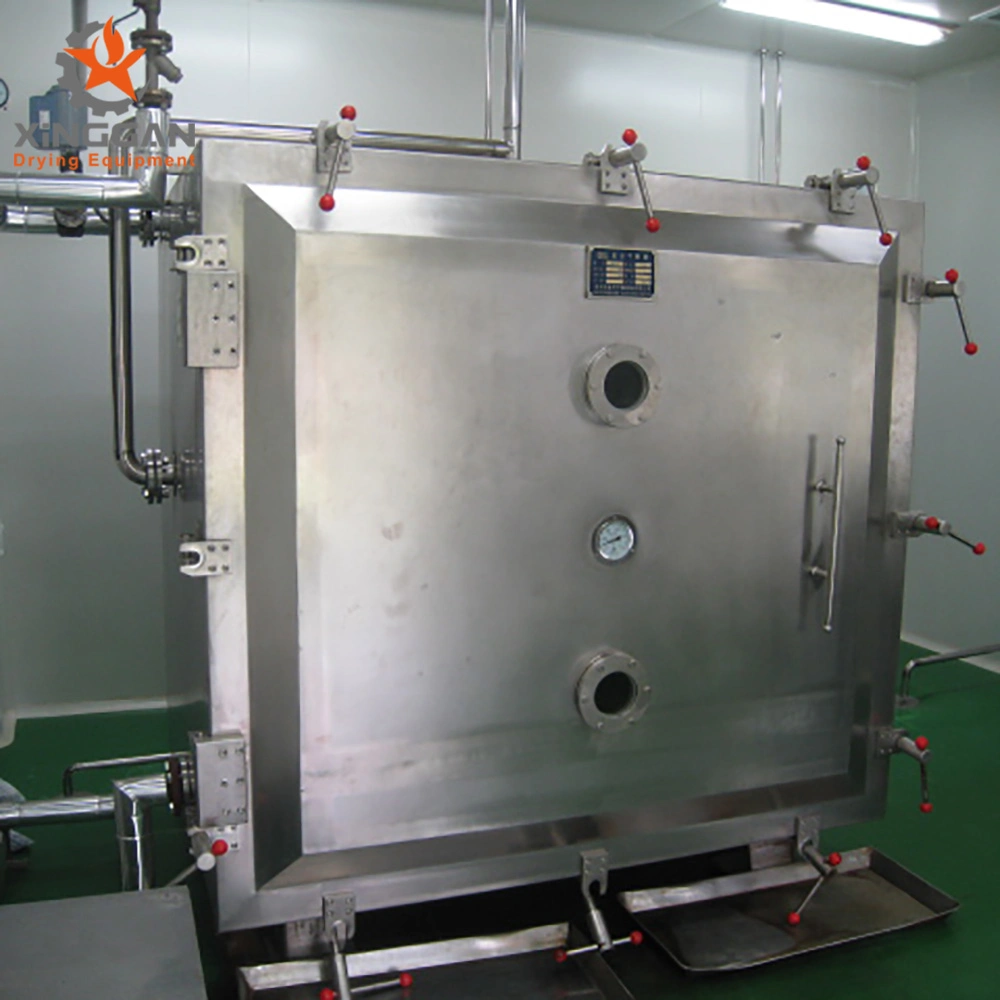 Industrial Square Vacuum Constant Temperature Drying Oven