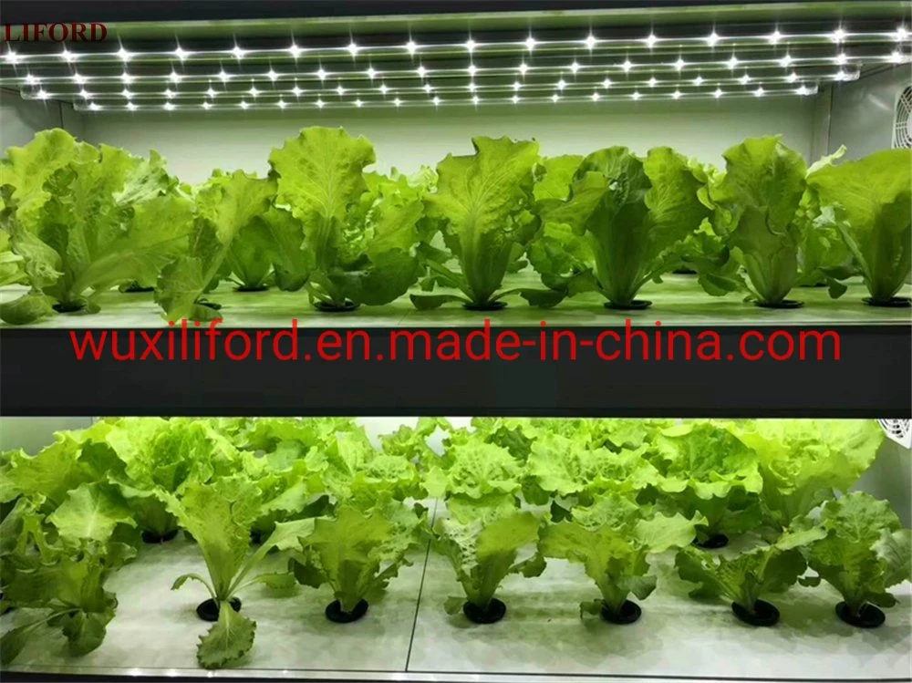 Mini Hydroponics Indoor Hydroponics Plant Growing Soilless Culture System