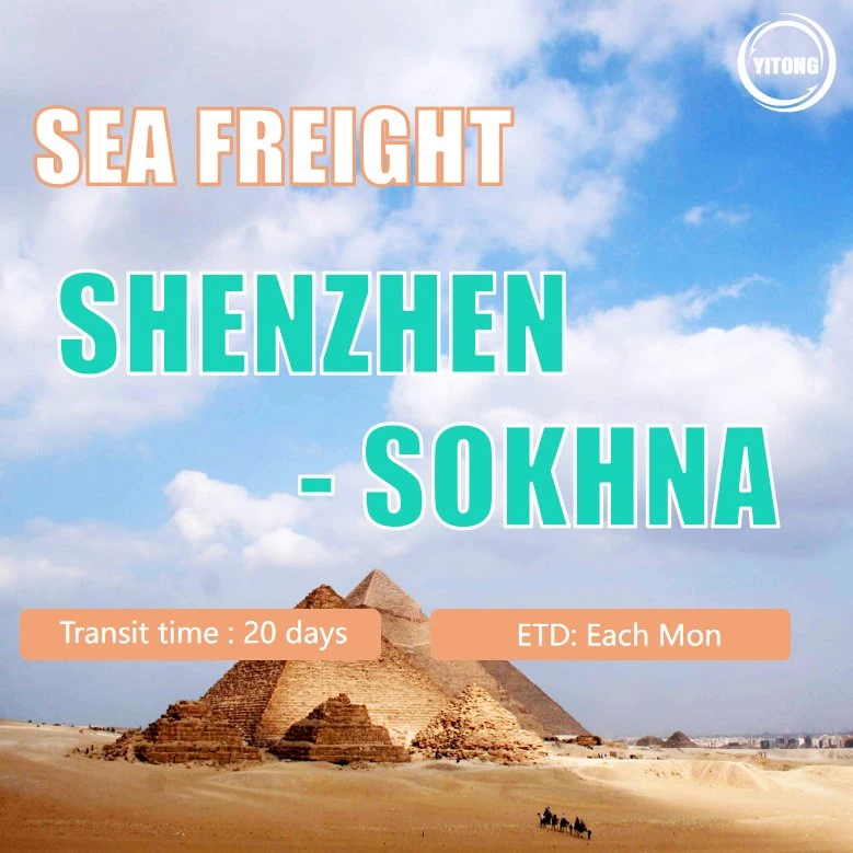 China Shipping to Egypt Sea Freight From Guangzhou to Sokhna China Shipping to Sokhna Price Logistics to Egypt Air Shipping From China to Cairo