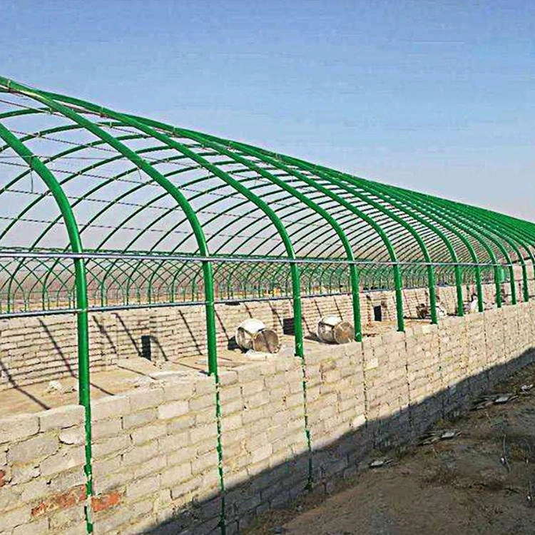 Two Layers of Elliptical Beam Film Sunlight Solar Greenhouse with Air Insulation Wall for Tomato/Cucumber/Cherry