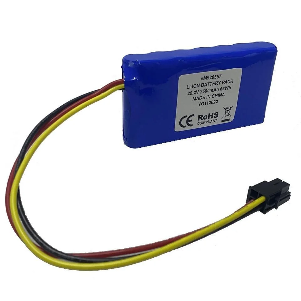 Lithium Ion Battery 12V LiFePO4 Battery Dyson Battery Adapter Lto Battery