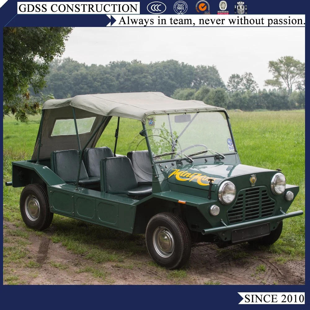 Gold Cart Gasoline Car Mini Jeep Moke