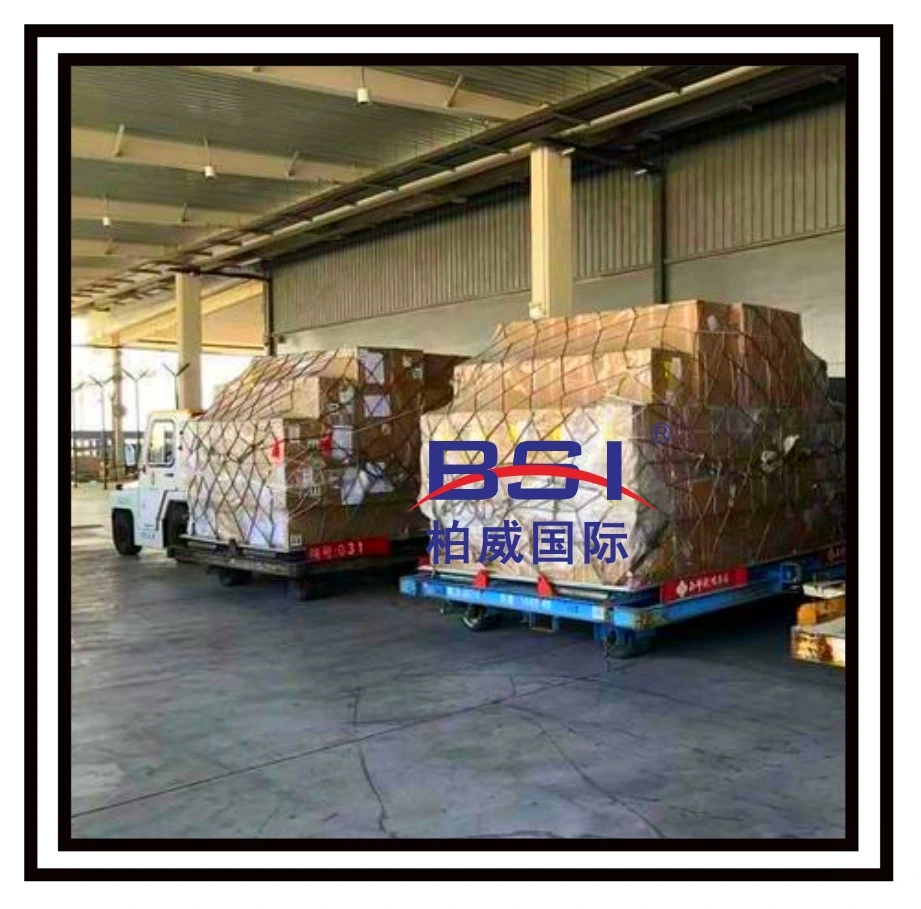 Professional Shipping From China to Brunei, Air Transport