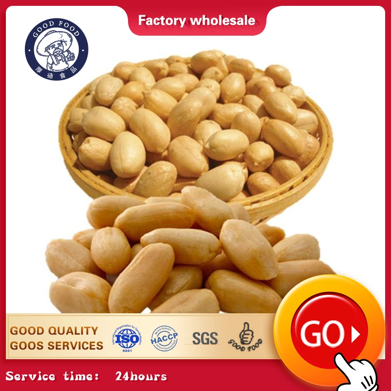 Made in China Supplier of Natural Peanut Blanched Peanut Kernel with Good Price