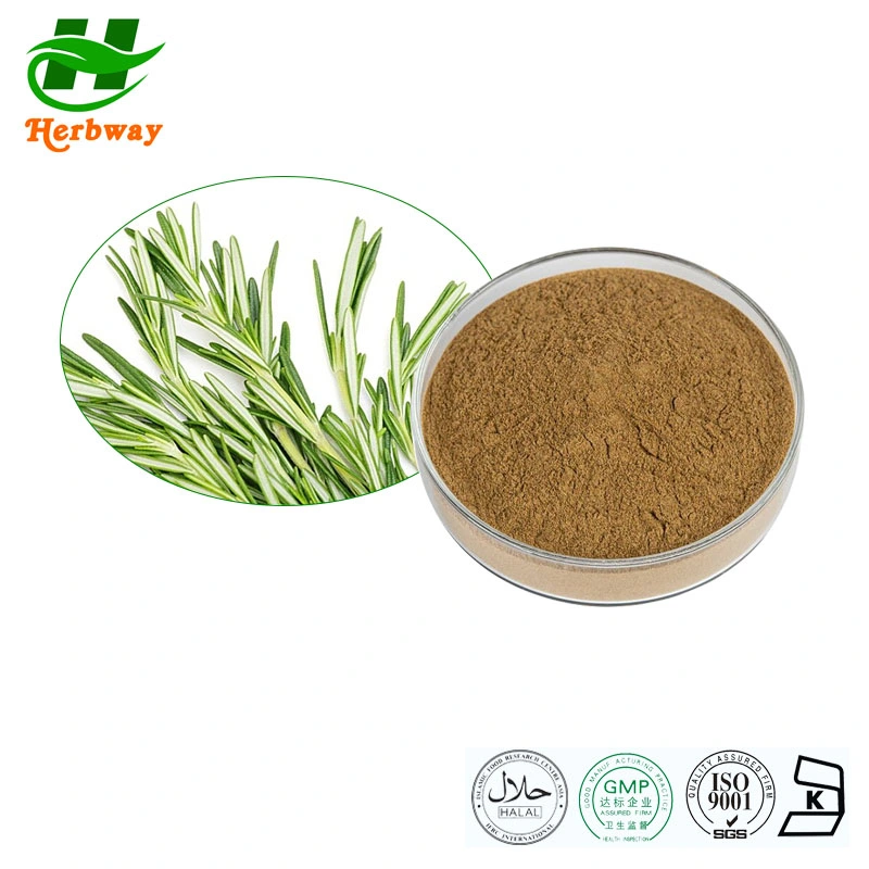Herbway Botanical Herb Extract Kosher Halal Fssc HACCP Certified Rosmarinic Acid Rosemary Extract
