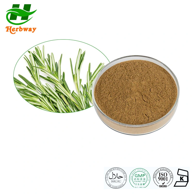 Herbway Botanical Herb Extract Kosher Halal FSSC HACCP zertifiziert Rosmarinic Saurer Rosmarin Extrakt