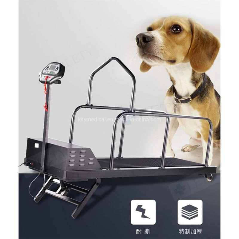 Factory Price Dog Training Treadmill for Dog Running Dog Walking Treadmill