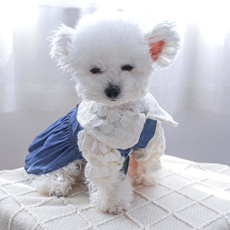 ملابس الكلب الصغيرة القط ملابس الصيف الحيوانات الأليفة إكسسوارات الكلب ملابس صدرية منتجات الحيوانات الأليفة