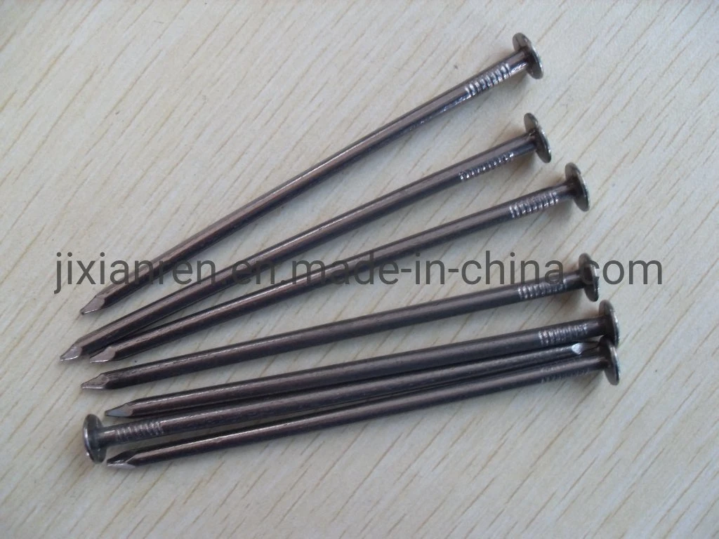 16D (2-1/2") Hot Dipped Galvanized Box Nails