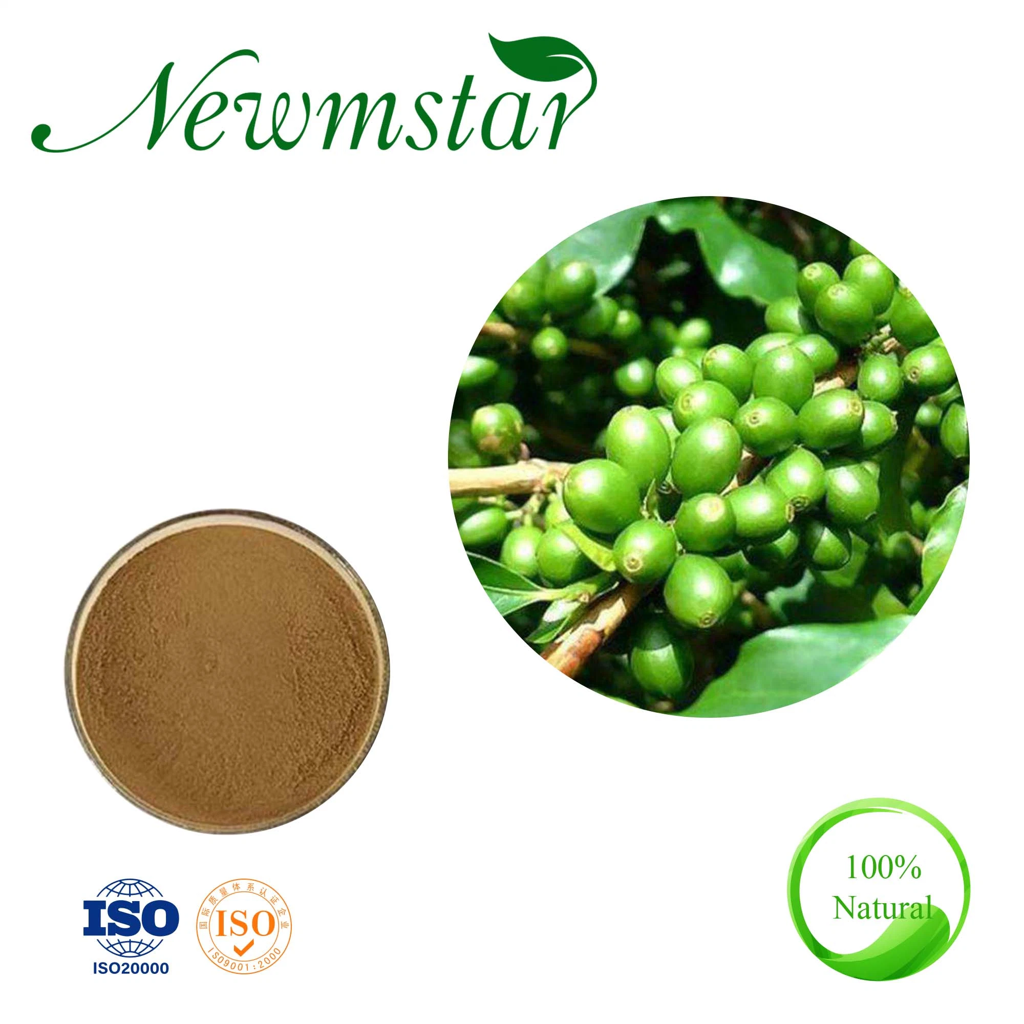 Green Coffee Bean Extract / Coffea Arabica L Natural Protect Liver and Choleretics