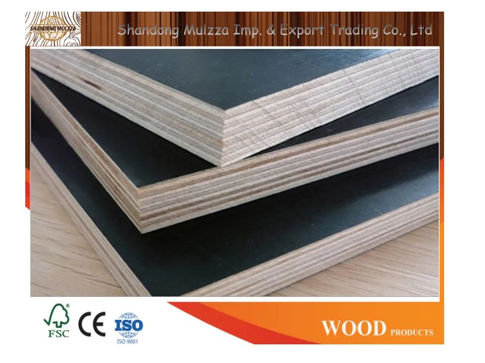 1220X2440X18mm Waterproof Poplar Core Black Film Faced Plywood for Construction Shuttering