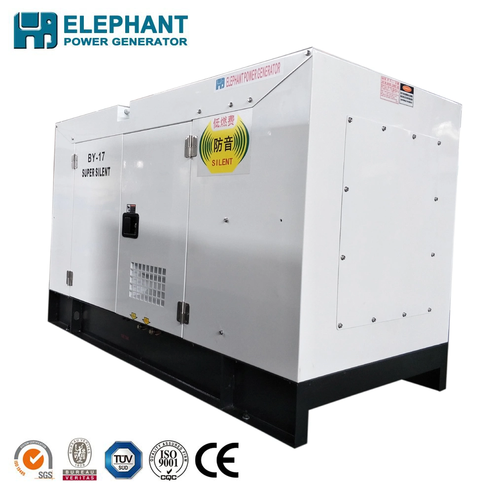 La Chine célèbre marque 10,8 kw Water-Cooled 14kVA Groupe électrogène de puissance