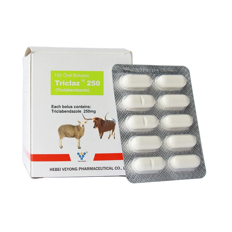 Medicine for Veterinary Manufacturer Enrofloxacin 10% Oral Solution for Animal Health Care