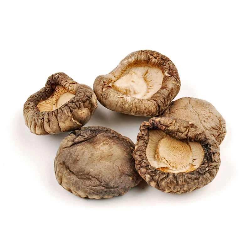 Grade A Großhandel/Lieferant getrocknete Shiitake Pilz für Dosenpilz