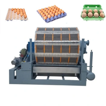 Large Machine Making Egg Tray