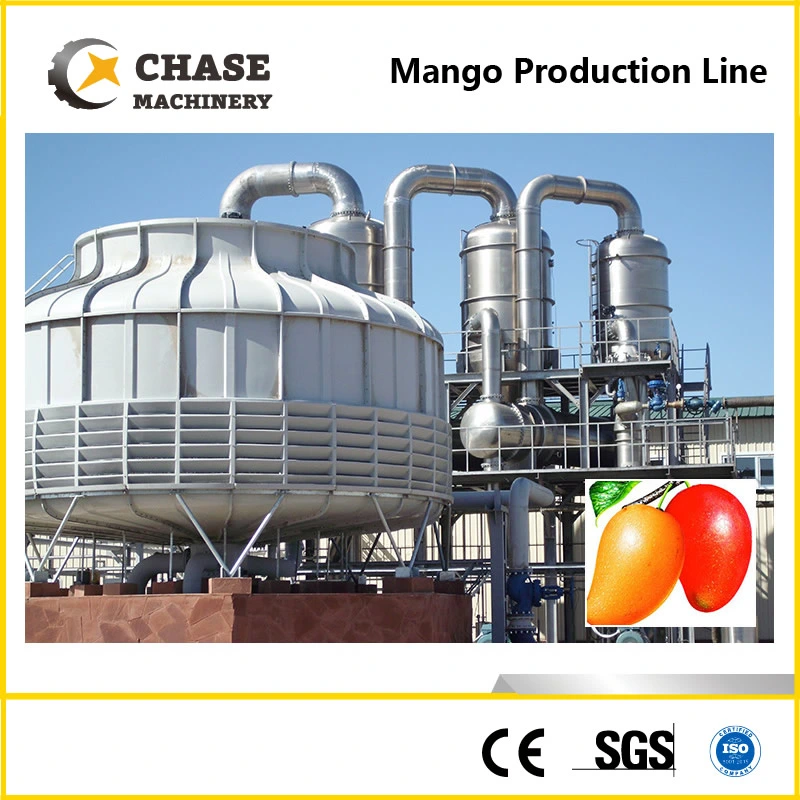 Pet/Glass Bottle Orange/Mango Juice Production Line From Shanghai Chase