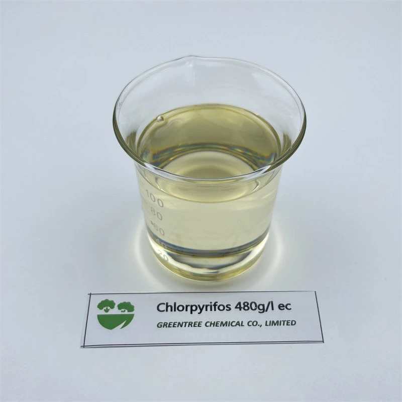 C9h11cl3no3PS Chlorpyrifos 480g/L Ec Supplier