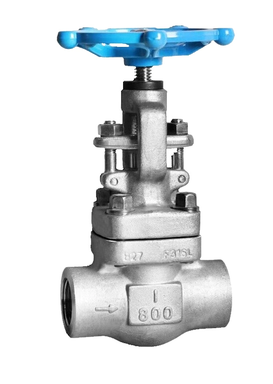 Forged Stainless Steel Manual Operation Flange Globe Valve