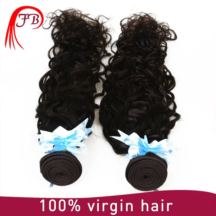 100% Virgn Remy Brazilian Natural Wave Human Hair Weft