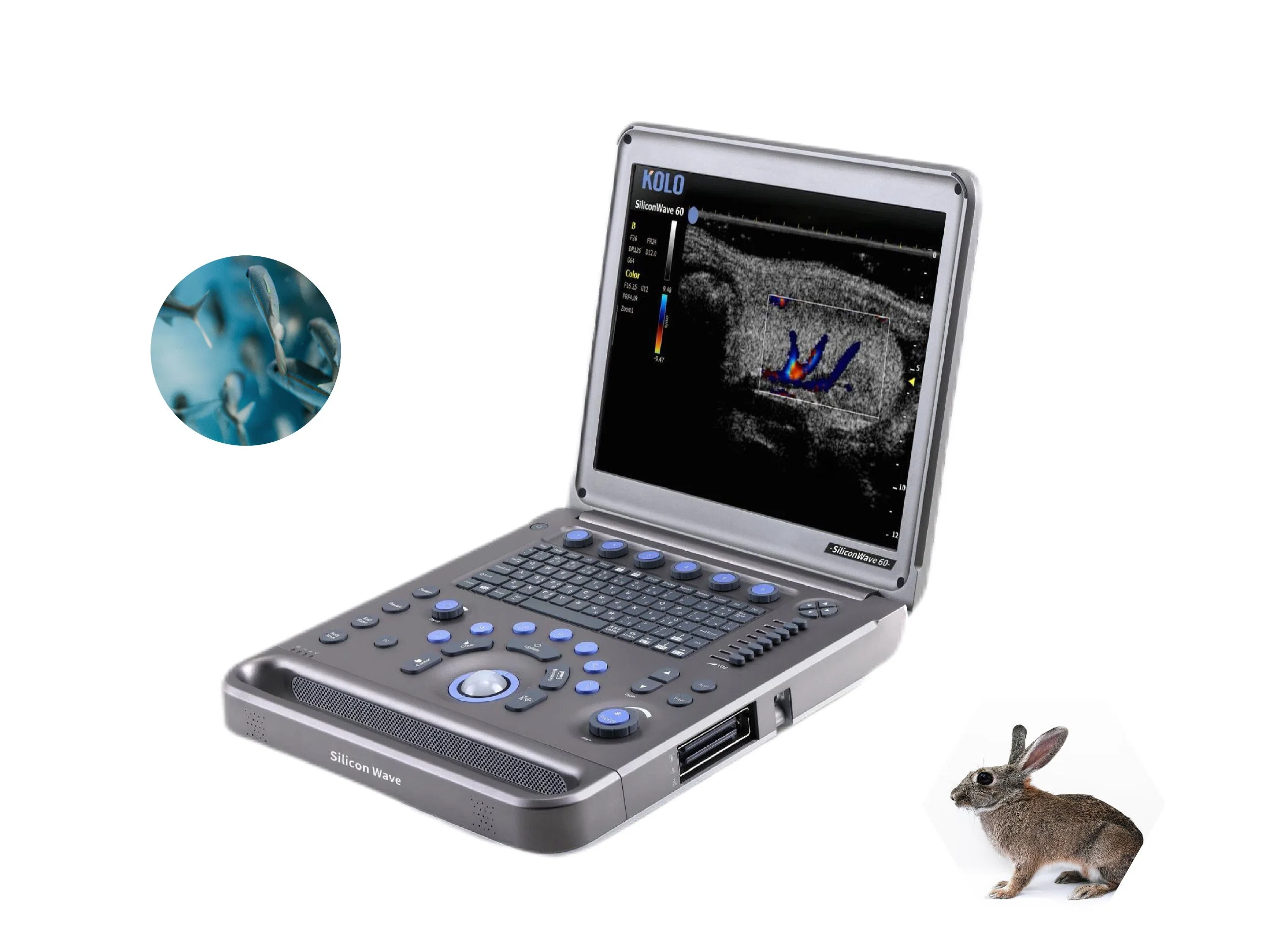 C Mode Portable Ultra-High Frequency Lab Animal Ultrasound Scanner