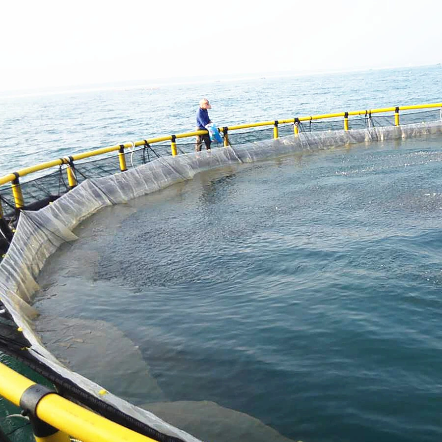 Acuicultura de Mar profundo cría de peces jaula neta