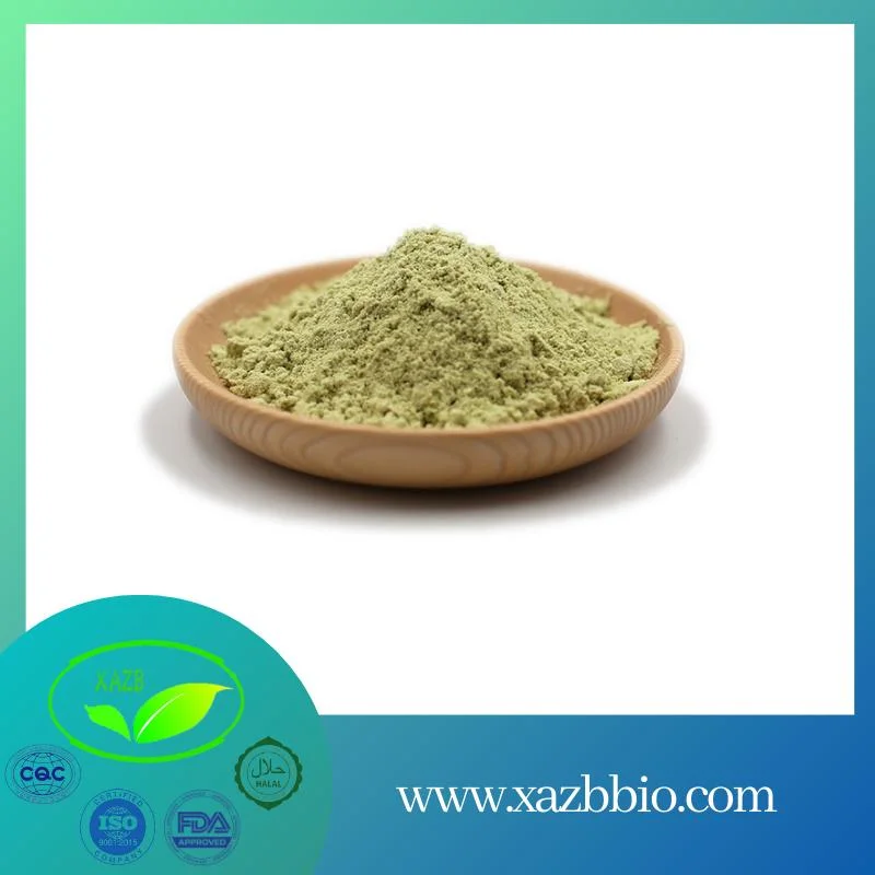 Xazb Manufacturer Wholesale Food Grade Pumpkin Seed Protein Powder